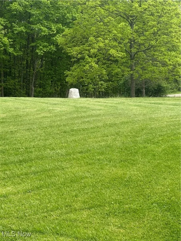 View of grassy yard and a rock shaped cover to well.