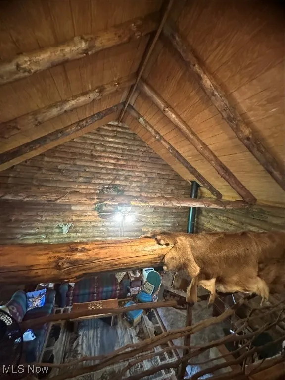 View from loft of living-room ceiling