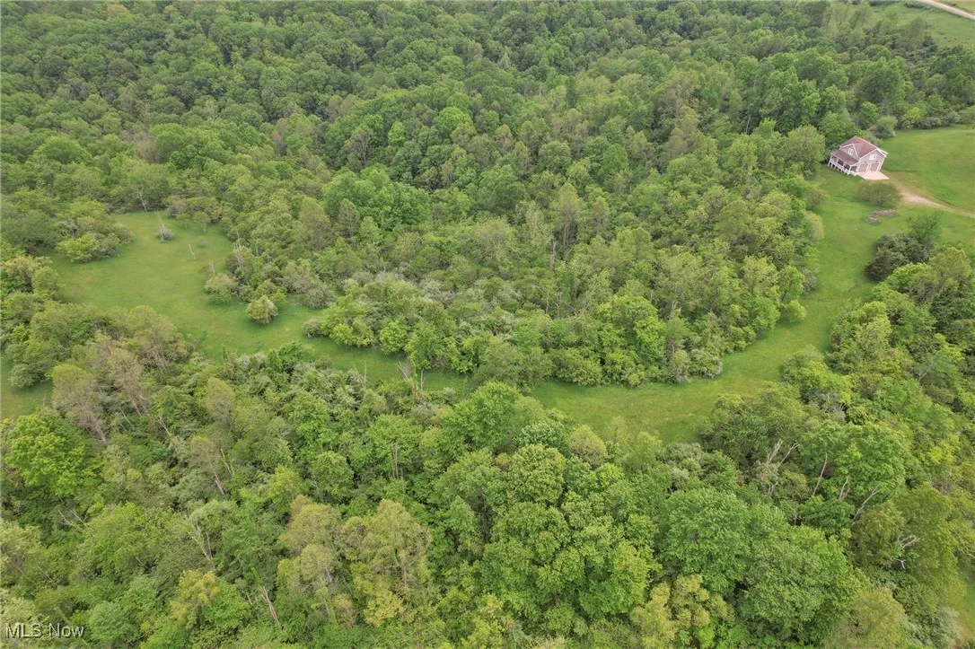 Aerial overview of property's location featuring a forest