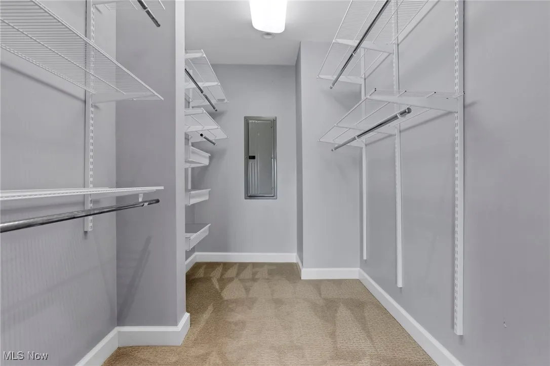 Spacious closet with carpet flooring and electric panel
