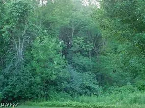 View of local wilderness with a forest view