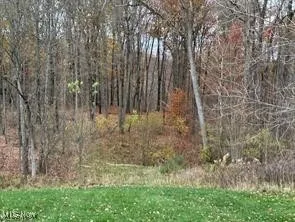 View of local wilderness in the fall