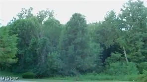 View of landscape featuring a lots of trees
