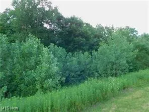 View of nature