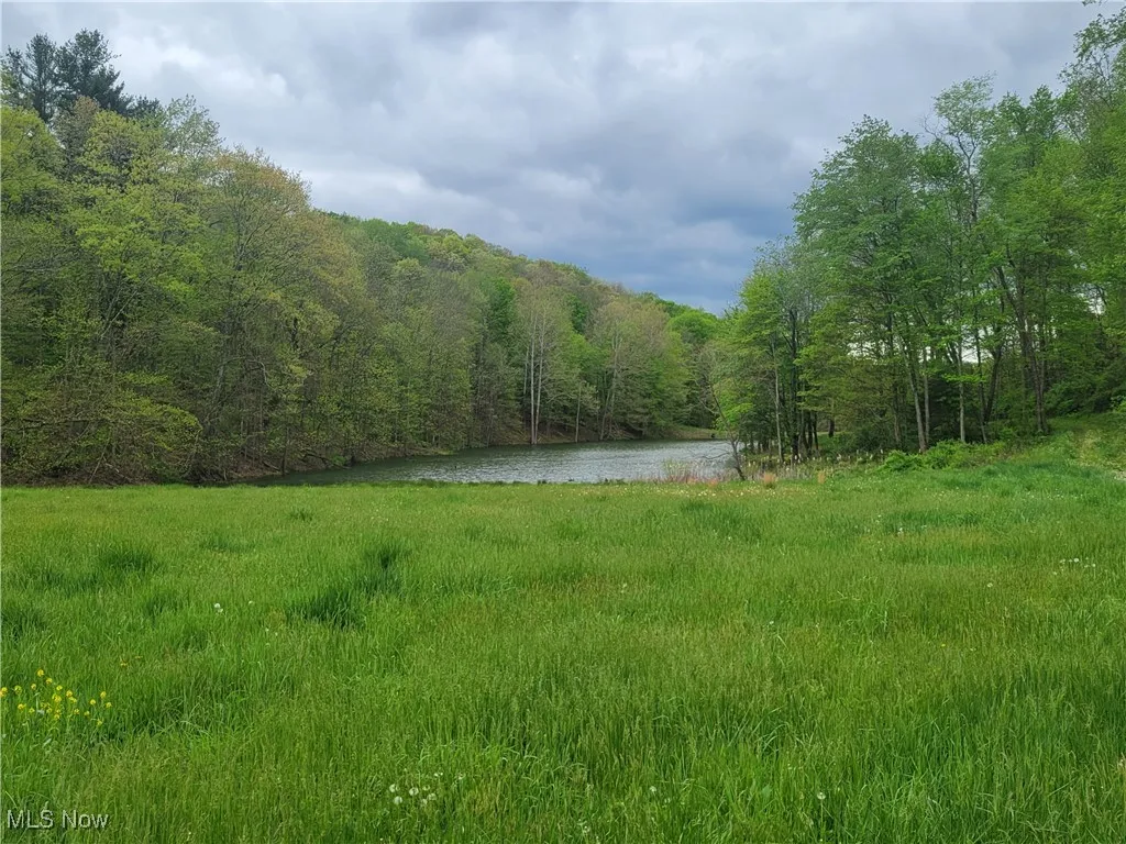 Rear pond