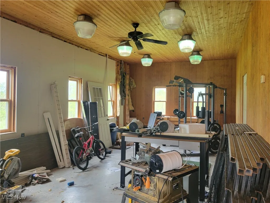 Garage storage