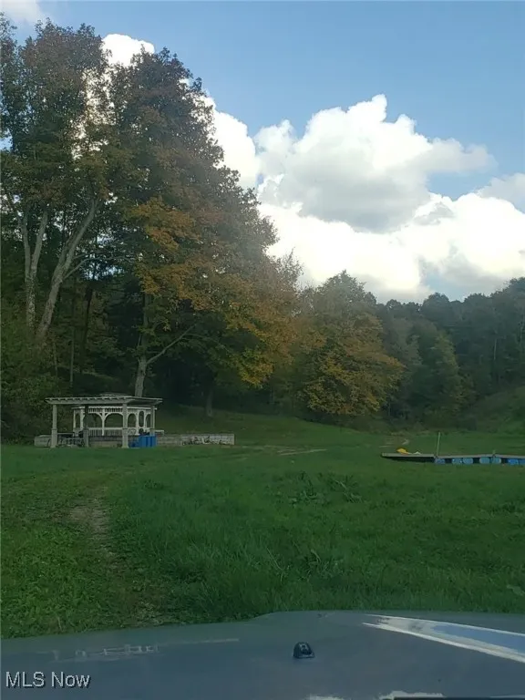 yard and gazebo
