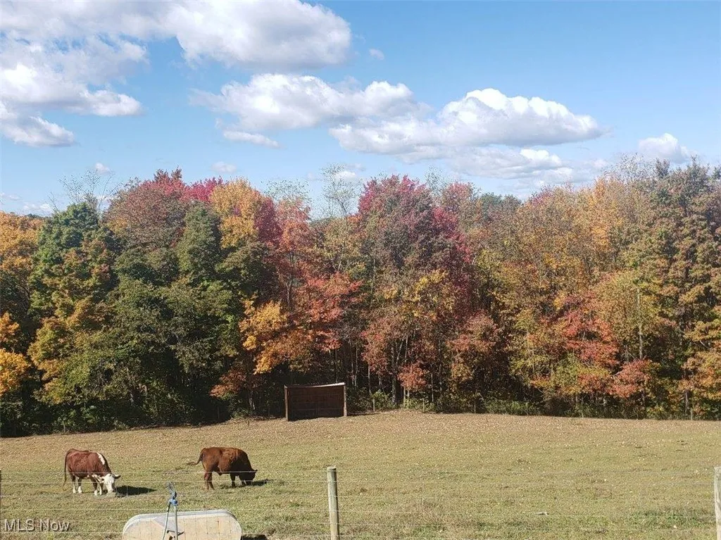 fenced pasture