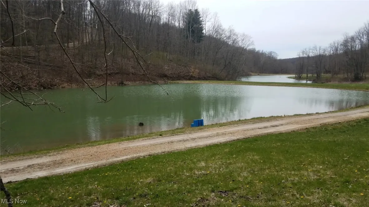 Pond view featuring a woods