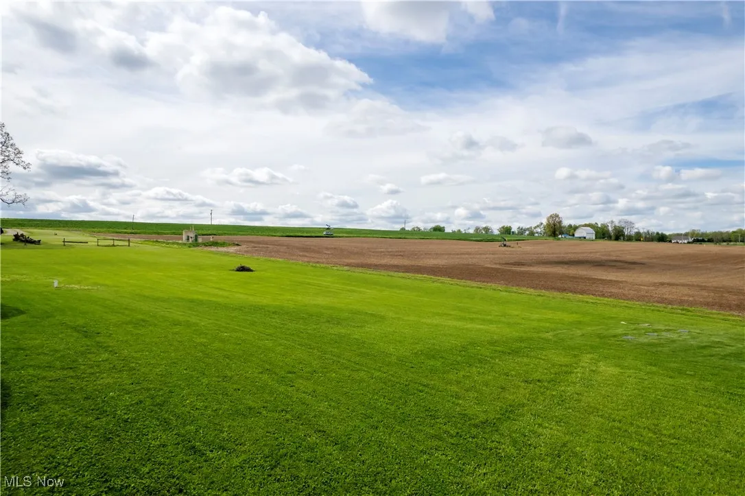 View of grassy yard