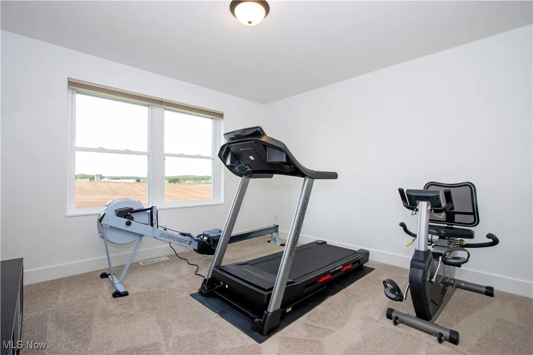 Exercise area (bedroom) with baseboards and carpet flooring