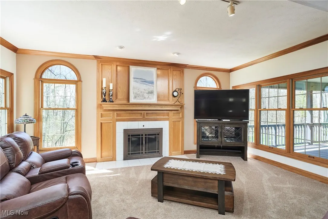 Living area with light carpet, ornamental molding, baseboards, and a tiled fireplace