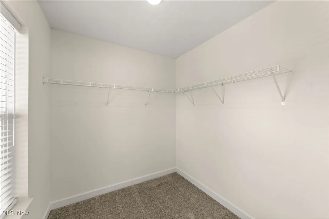 Spacious closet featuring carpet floors
