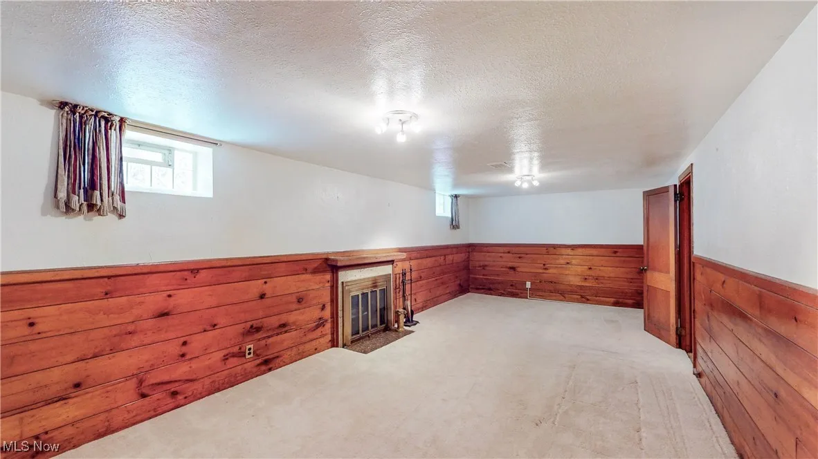 Finished Basement with Fireplace