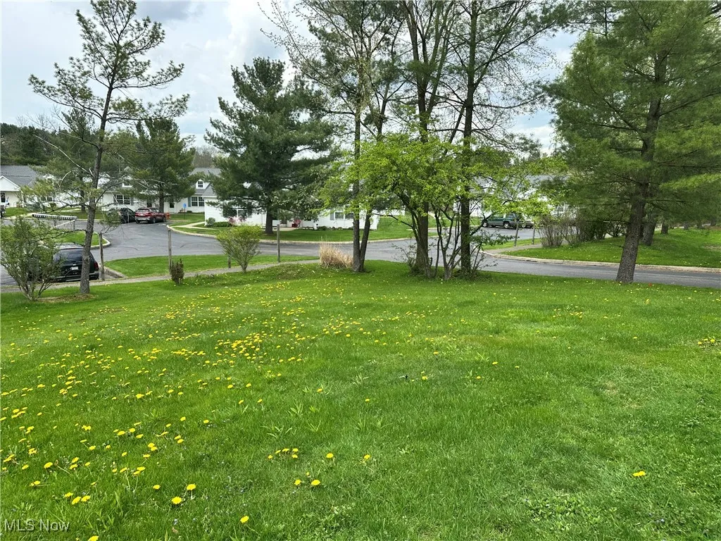 View of green lawn with a residential view