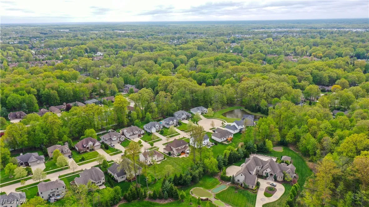 Aerial view of residential area with a heavily wooded area
