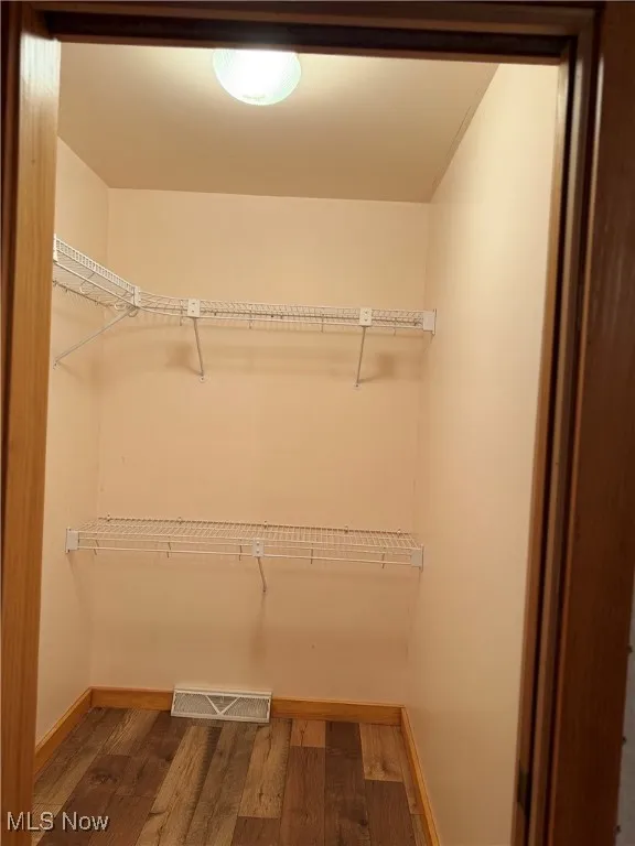 Spacious closet with dark wood-type flooring