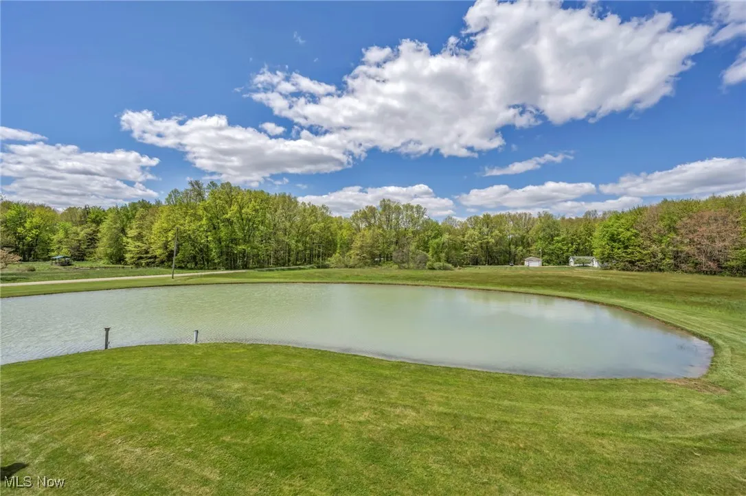 Water view with a forest