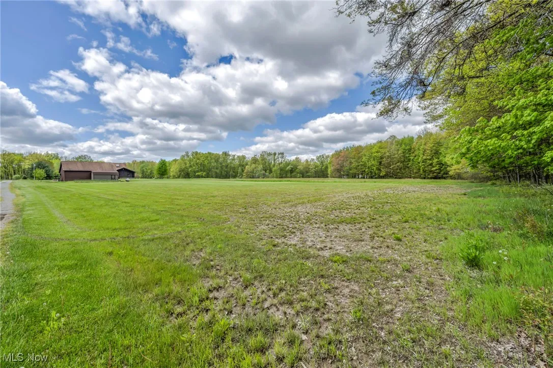 View of grassy yard featuring a rural view and a view of trees