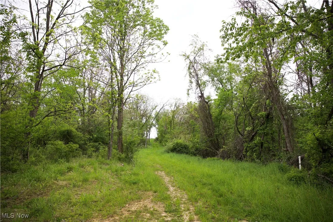 14472 County Road 14, Dresden, Ohio,MLS Now Listing ID