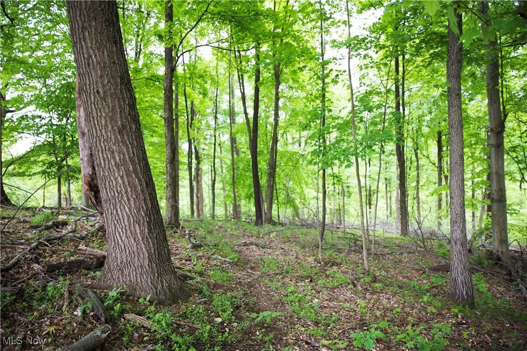 14472 County Road 14, Dresden, Ohio,MLS Now Listing ID