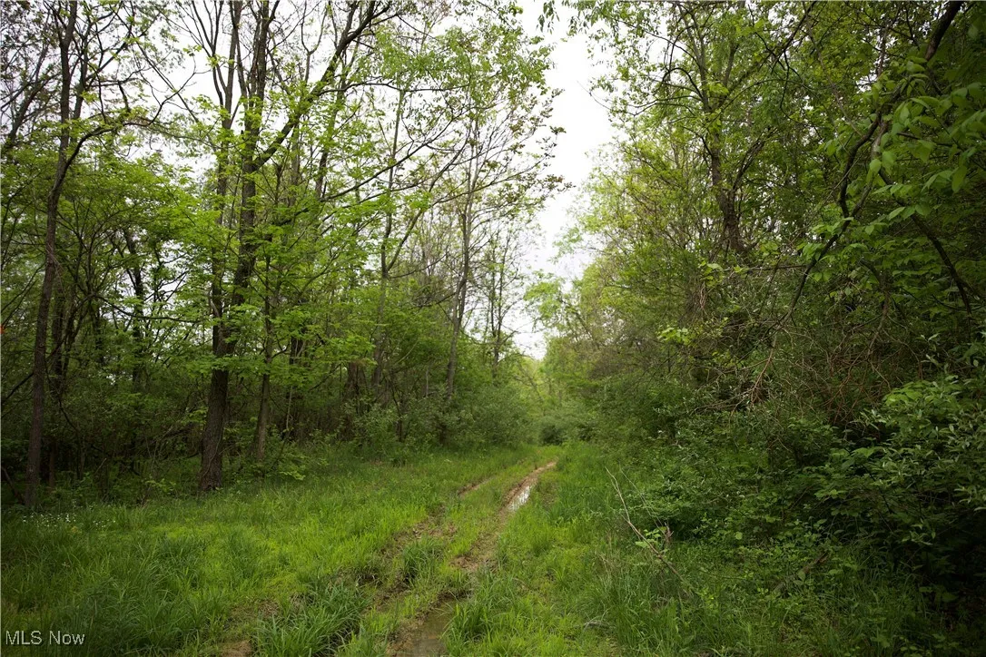 14472 County Road 14, Dresden, Ohio,MLS Now Listing ID