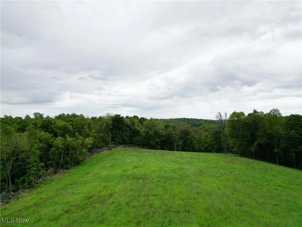 14472 County Road 14, Dresden, Ohio,MLS Now Listing ID