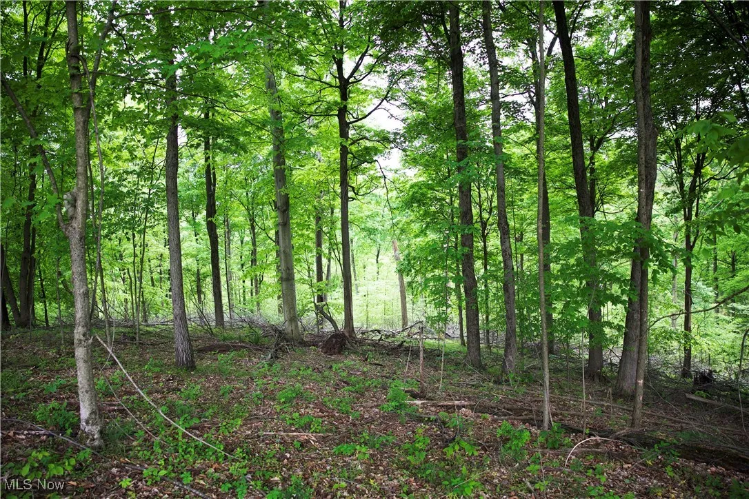 14472 County Road 14, Dresden, Ohio,MLS Now Listing ID