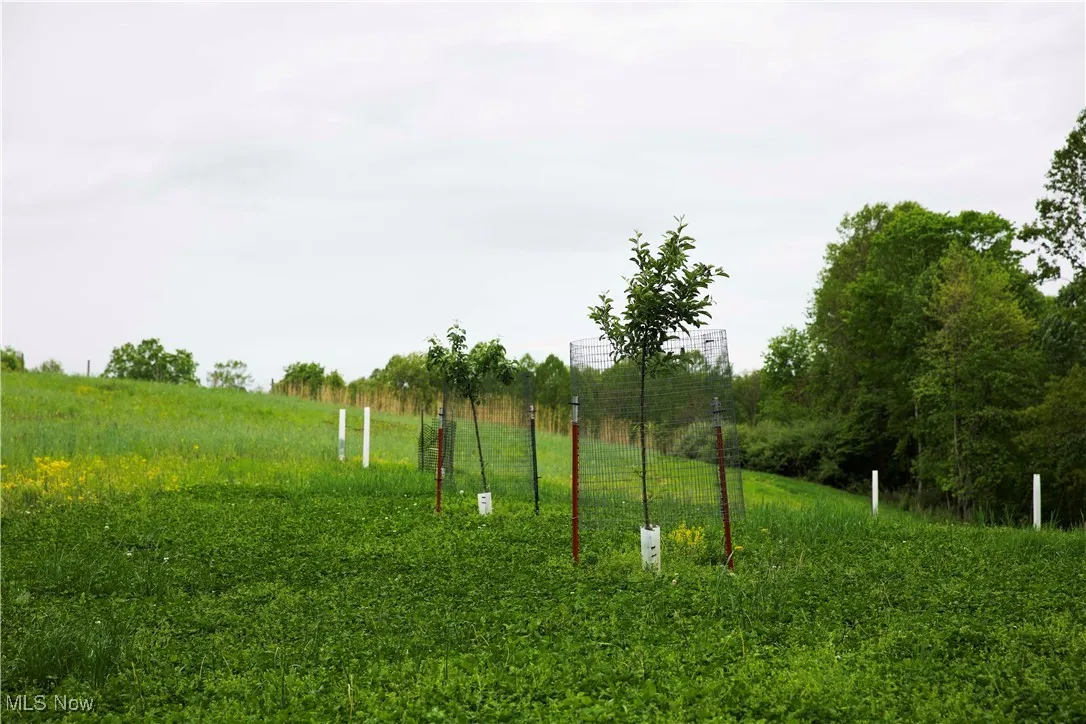 14472 County Road 14, Dresden, Ohio,MLS Now Listing ID