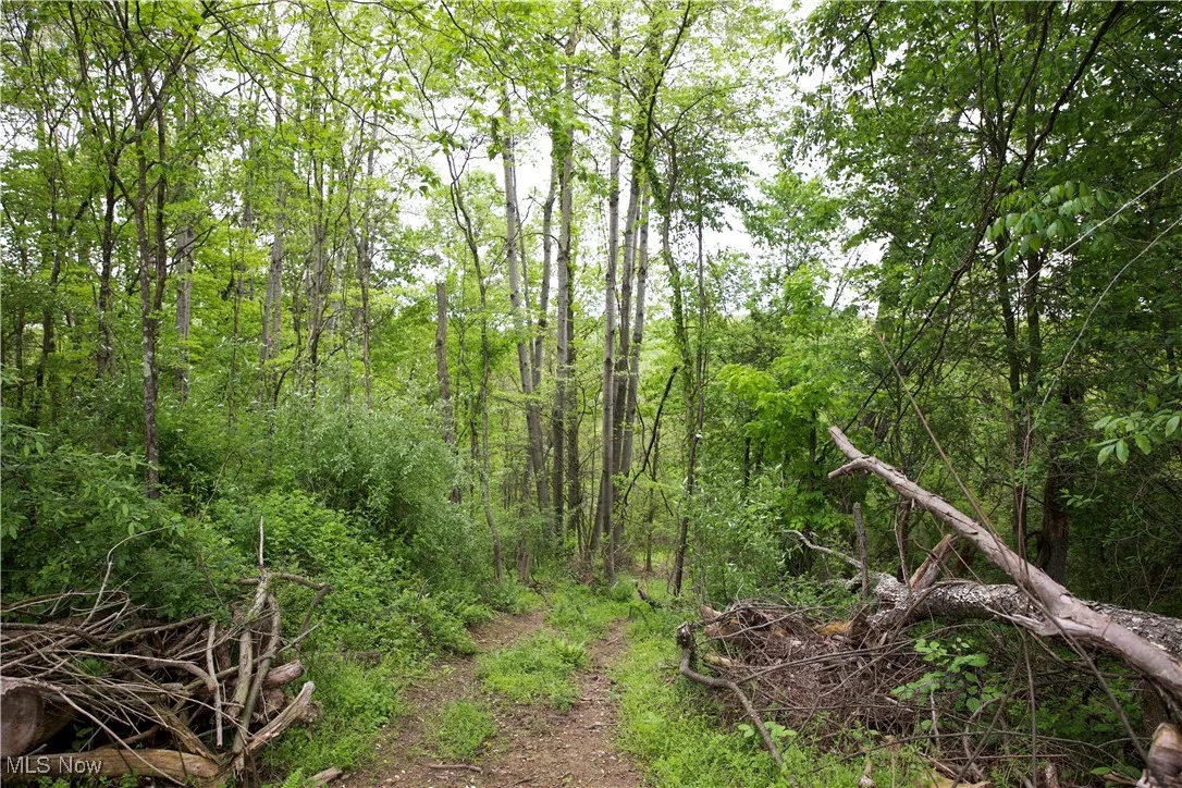 14472 County Road 14, Dresden, Ohio,MLS Now Listing ID