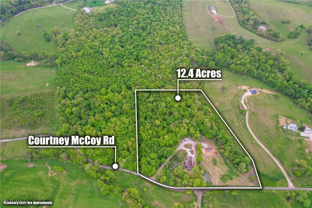 Aerial overview of property's location with property parcel outlined