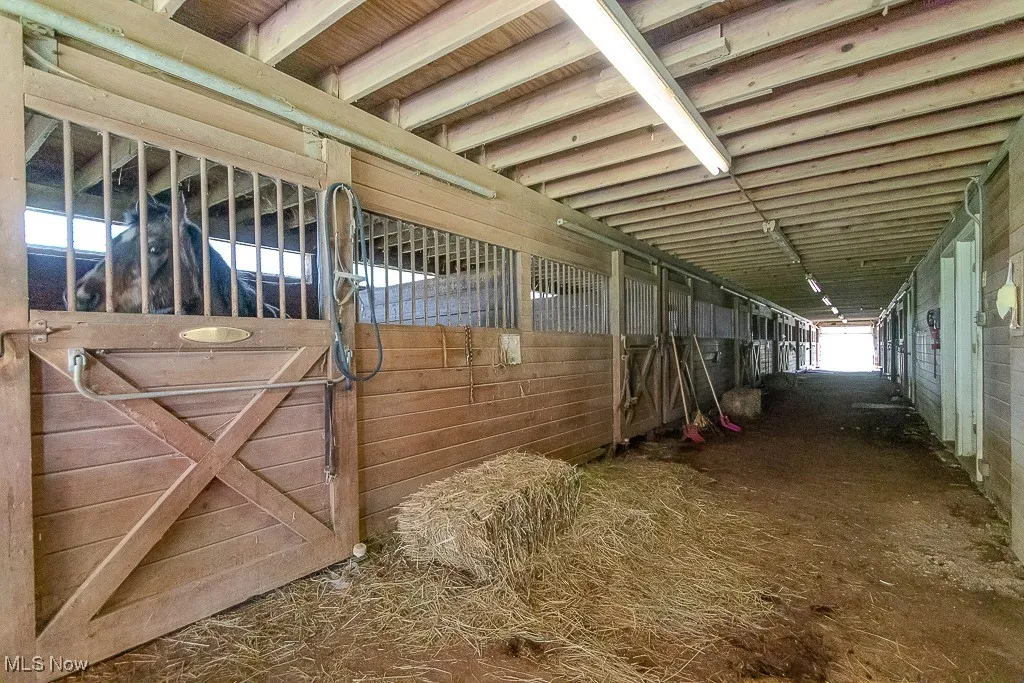 14110 Caves Road, Novelty, Ohio,MLS Now Listing ID