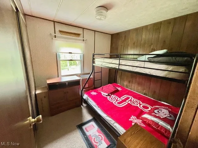 Bonus Room or 4th Bedroom featuring paneled walls, carpeting and closet has HWT, Pressure Tank for Well but a Rack to hang items