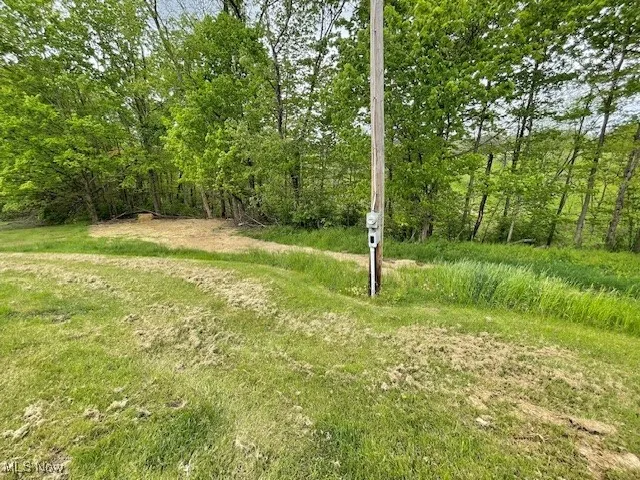 View of Backyard from West corner towards East showing back tree line.