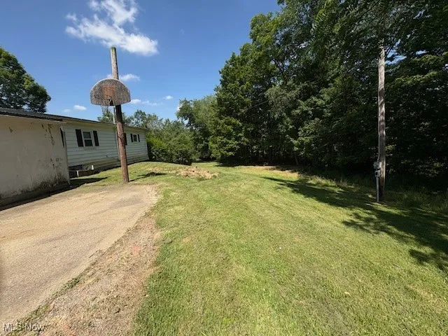 View of green lawn with dirt driveway