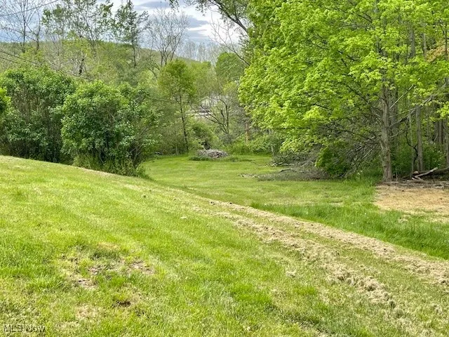 View of yard with a wooded view