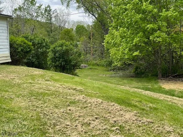 View of grassy yard featuring a wooded view going to West side.