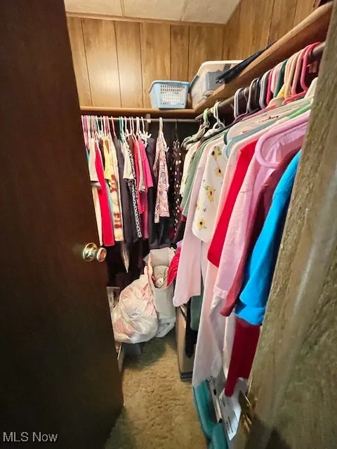 Walk in closet with carpet floors