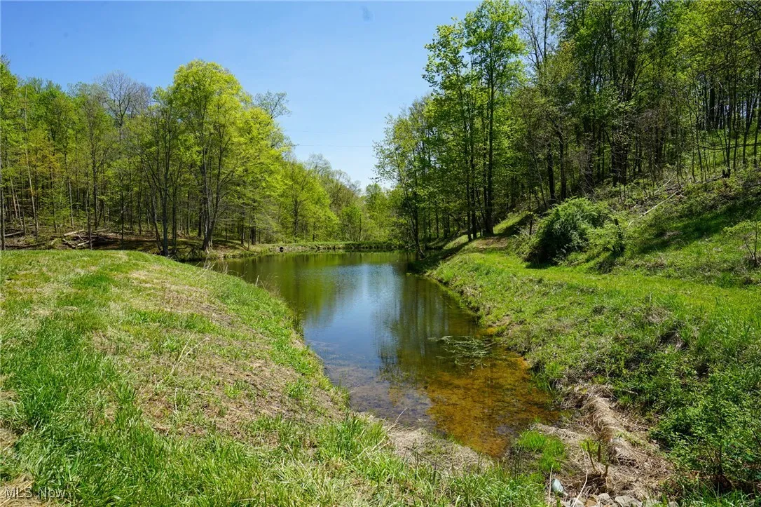 Water view featuring a heavily wooded area