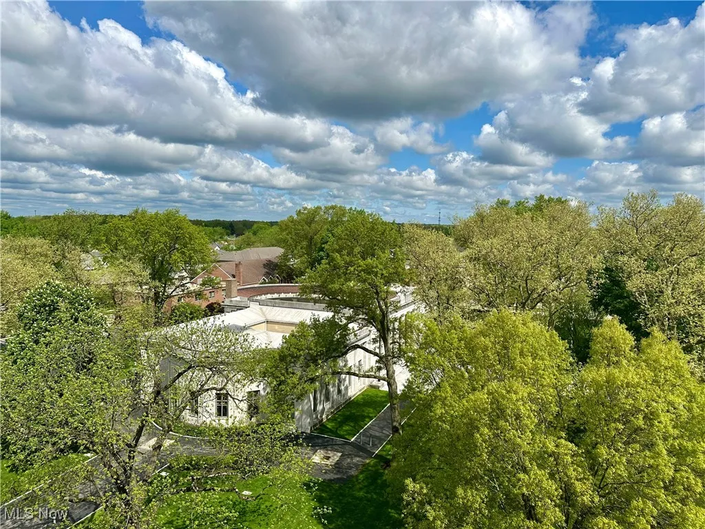 View of McKinley Memorial Library