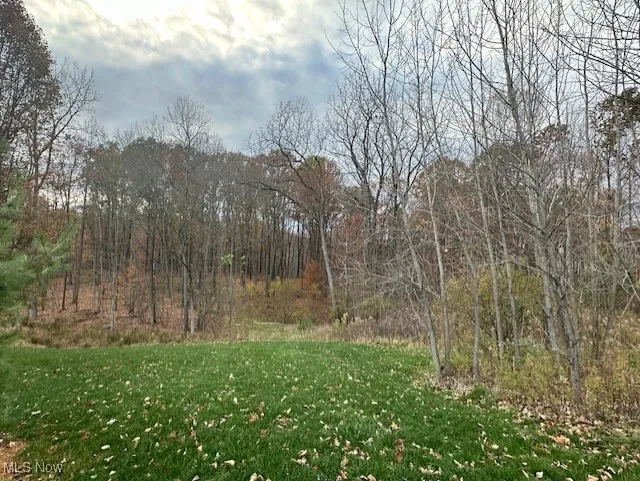 Fall view of the lot