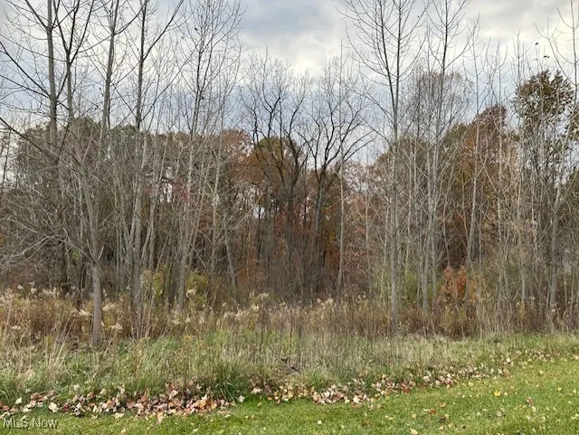 Fall view of the lot