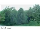 Beautiful wooded and ravine lot