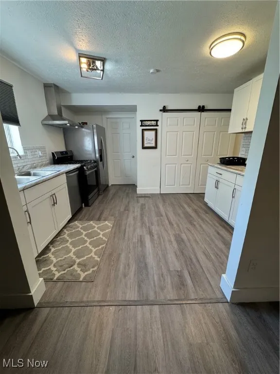 Kitchen featuring a sink, wood finished floors, ventilation hood, tasteful backsplash, and a textured ceiling