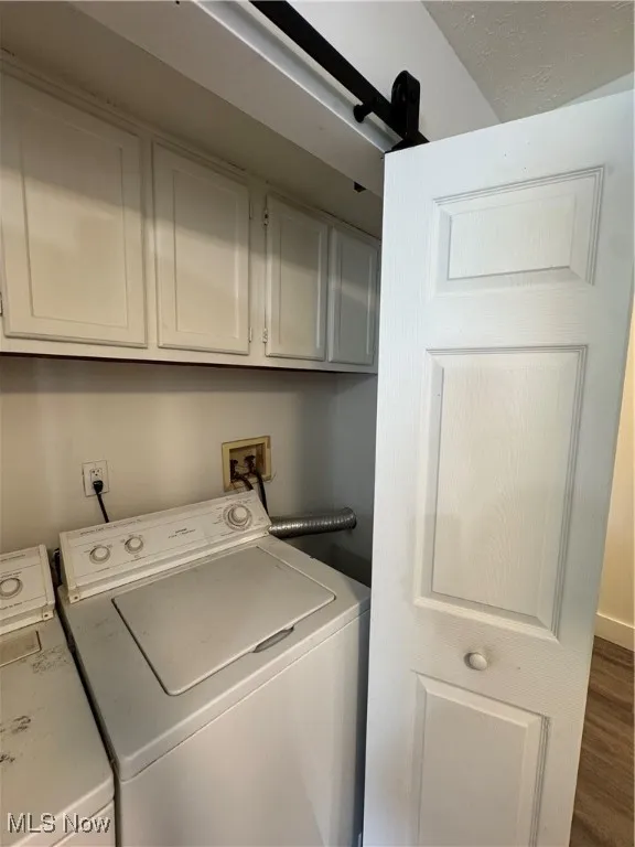 Laundry area featuring washer and dryer, cabinet space, and dark wood-type flooring