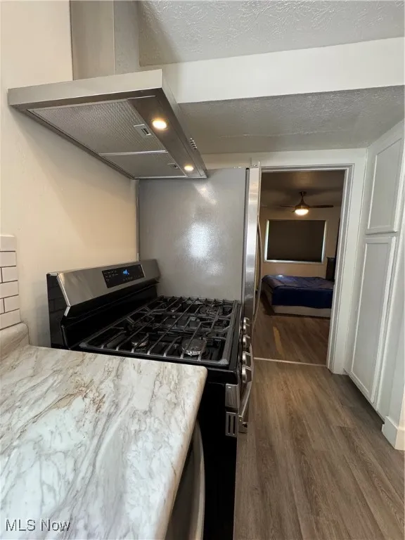 Kitchen featuring stainless steel range, ventilation hood, dark wood-type flooring, light stone countertops, and a textured ceiling