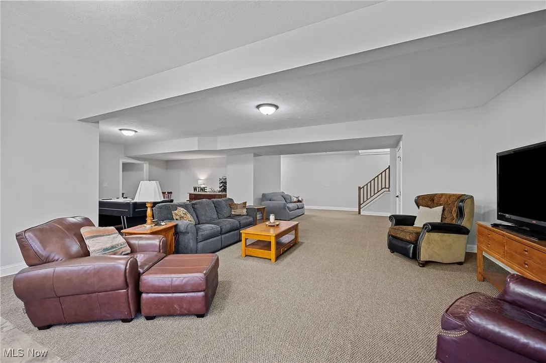 Lower Level Finished Room