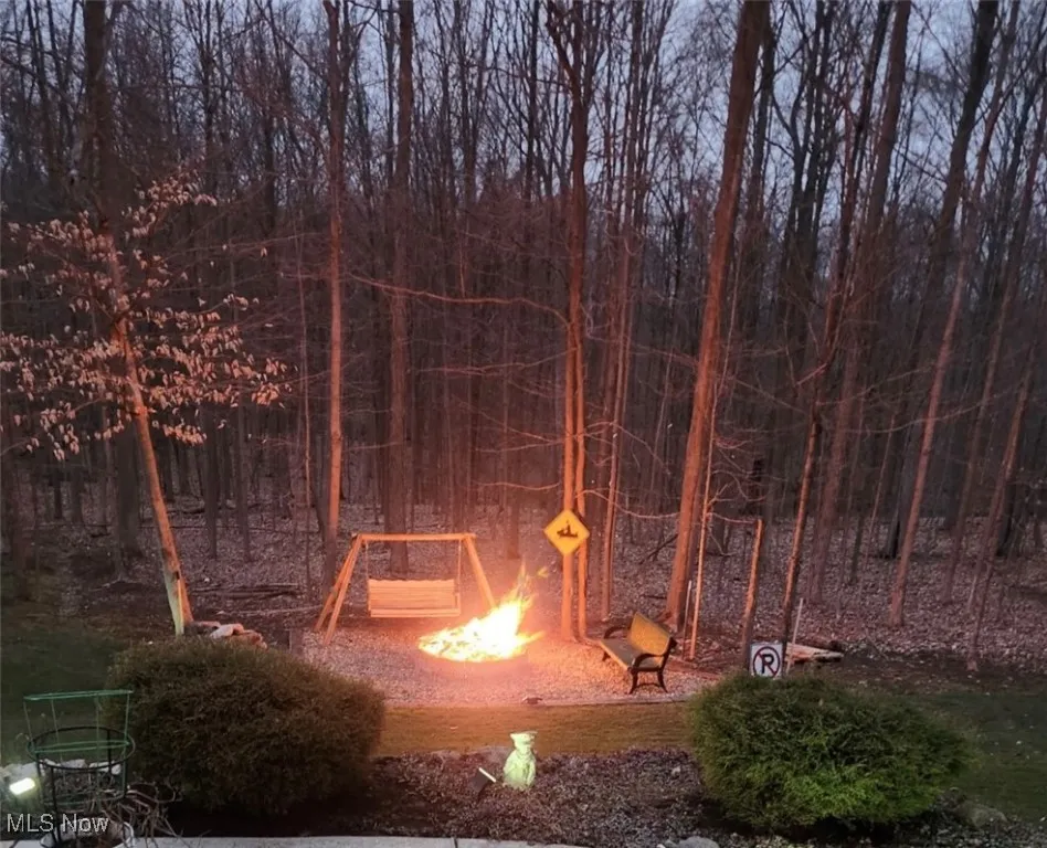 Homeowner's pic of fire pit area near the woods