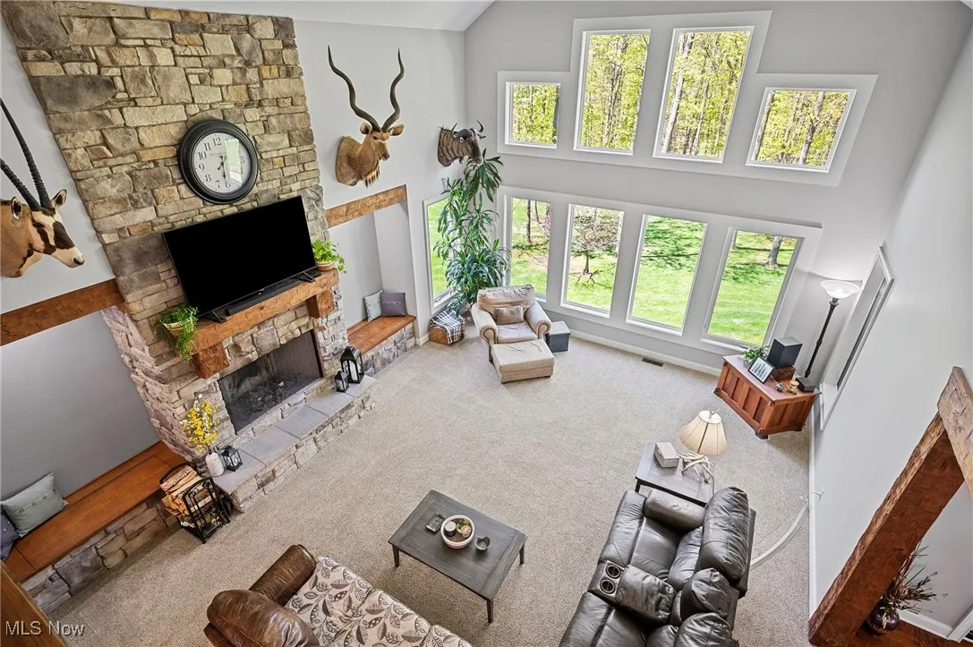 Living room featuring high vaulted ceiling, carpet, and a stone fireplace