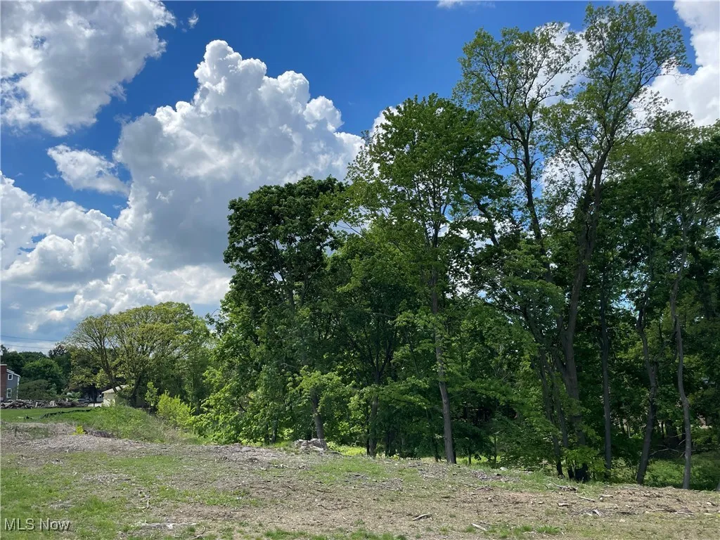 9025 Jackson Street, Mentor, Ohio,MLS Now Listing ID